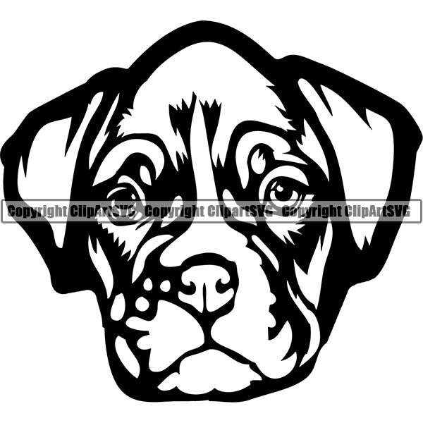 Boxer Dog Breed Head Face ClipArt SVG