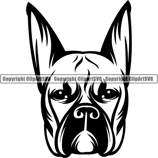 Boxer Dog Breed Head Face ClipArt SVG