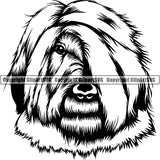 Briard Dog Breed Head Face ClipArt SVG