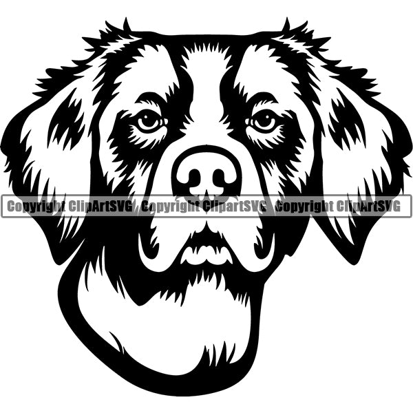 Brittany Spaniel Dog Breed Head Face ClipArt SVG
