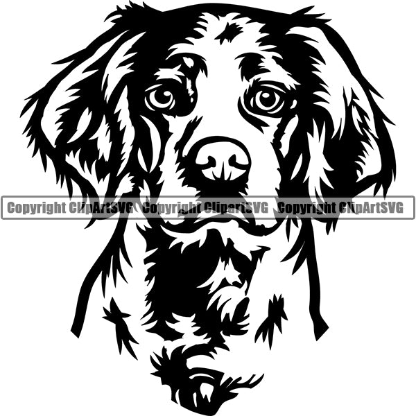 Brittany Spaniel Breed Head Face ClipArt SVG
