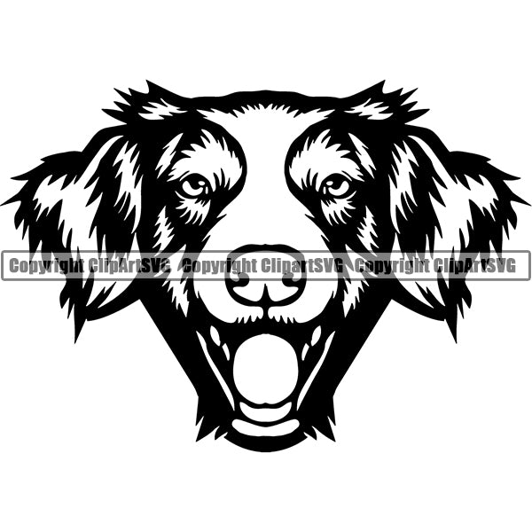 Brittany Spaniel Breed Head Face ClipArt SVG