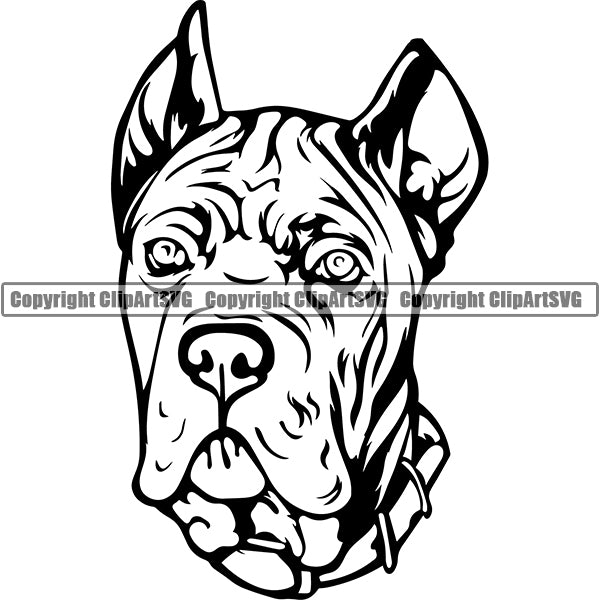 Cane Corso Dog Breed Head Face ClipArt SVG