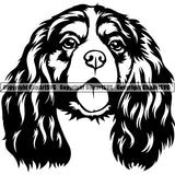 Cavalier King Charles Spaniel Dog Dog Breed Head Face ClipArt SVG