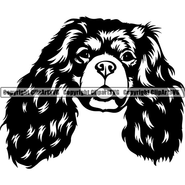 Cavalier King Charles Spaniel Dog Breed Head Face ClipArt SVG