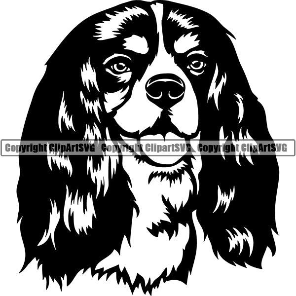 Cavalier King Charles Spaniel Dog Breed Head Face ClipArt SVG