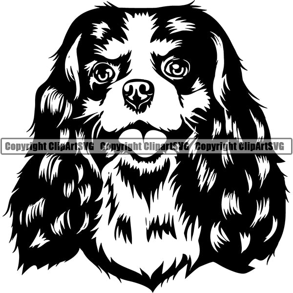 Cavalier King Charles Spaniel Dog Breed Head Face ClipArt SVG