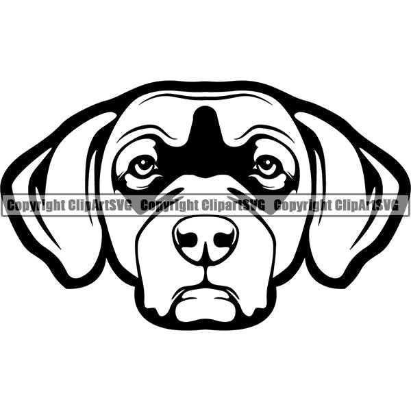 Chesapeake Bay Retriever Dog Breed Head Face ClipArt SVG