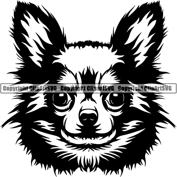 Chihuahua Dog Breed Head Face ClipArt SVG