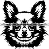 Chihuahua Dog Breed Head Face ClipArt SVG