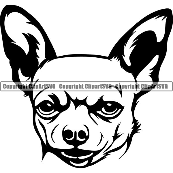 Chihuahua Dog Breed Head Face ClipArt SVG