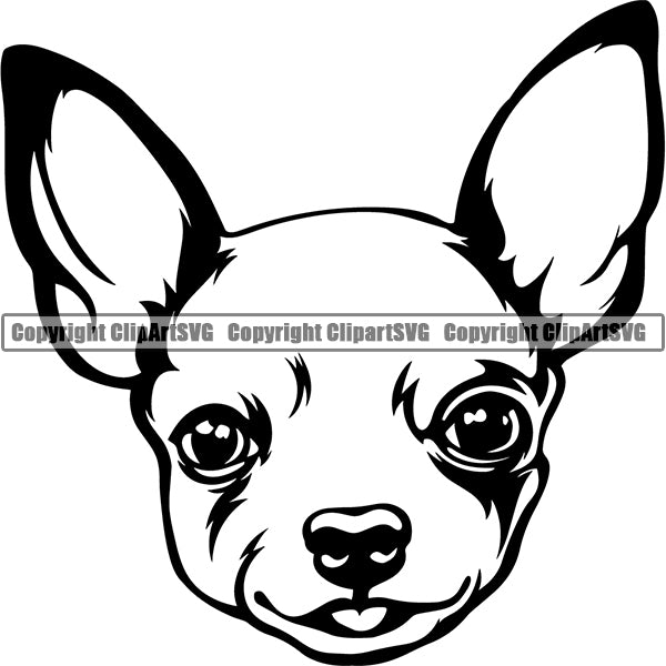 Chihuahua Dog Breed Head Face ClipArt SVG