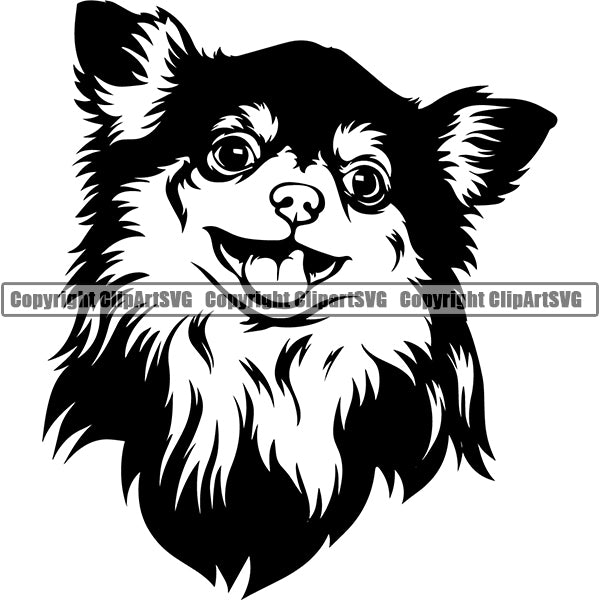 Chihuahua Dog Breed Head Face ClipArt SVG