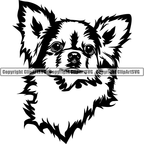 Chihuahua Dog Breed Head Face ClipArt SVG