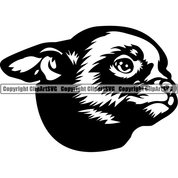 Chihuahua Dog Breed Head Face ClipArt SVG