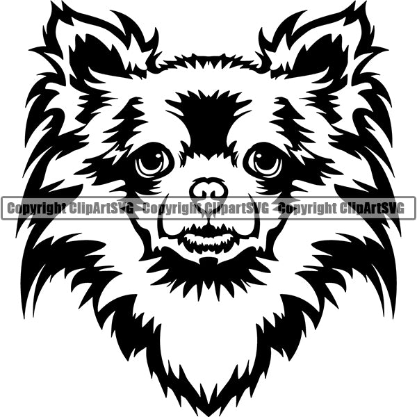 Chihuahua Dog Breed Head Face ClipArt SVG