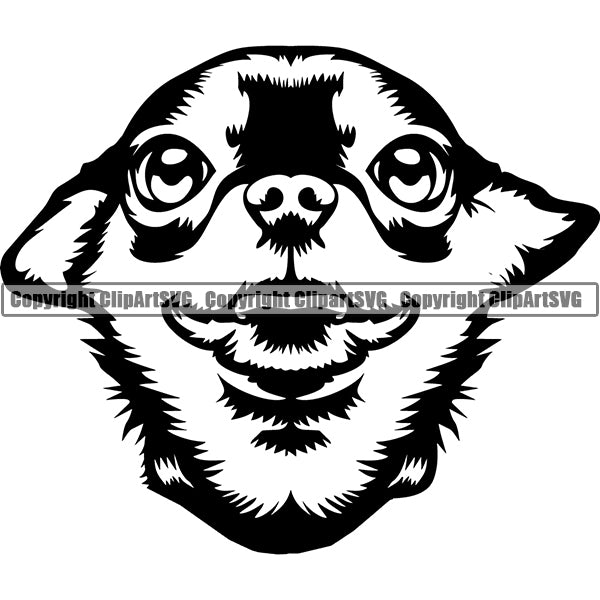 Chihuahua Dog Breed Head Face ClipArt SVG