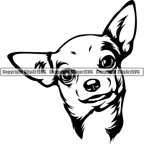 Chihuahua Dog Breed Head Face ClipArt SVG