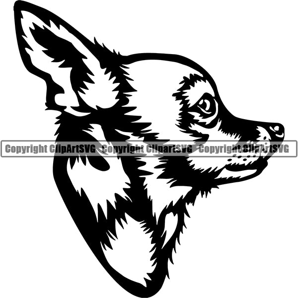Chihuahua Dog Breed Head Face ClipArt SVG
