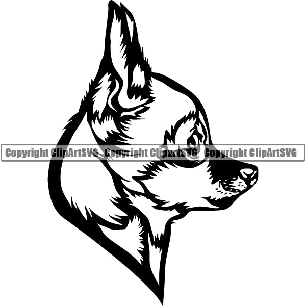 Chihuahua Dog Breed Head Face ClipArt SVG