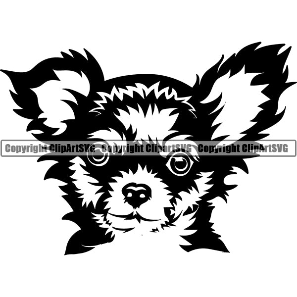 Chihuahua Dog Breed Head Face ClipArt SVG