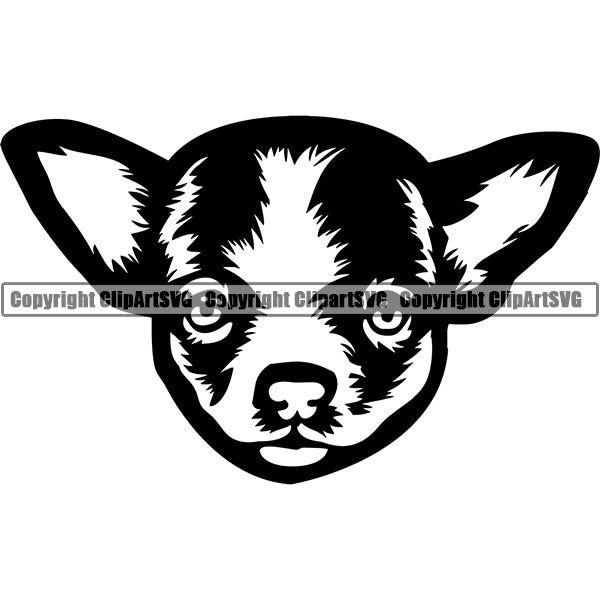 Chihuahua Dog Breed Head Face ClipArt SVG
