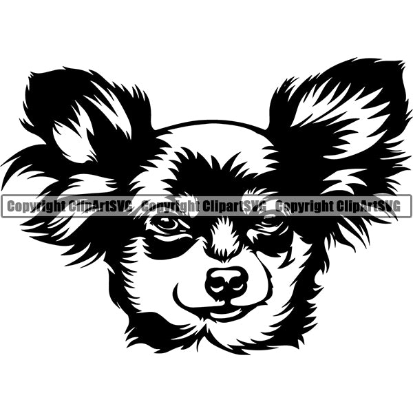 Chihuahua Dog Breed Head Face ClipArt SVG