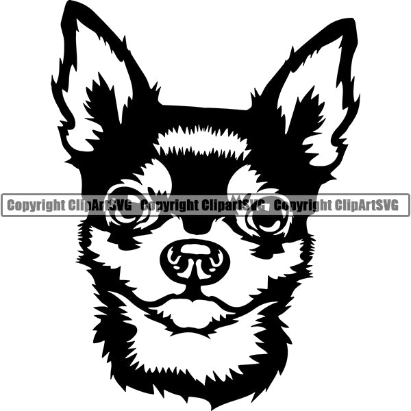 Chihuahua Dog Breed Head Face ClipArt SVG
