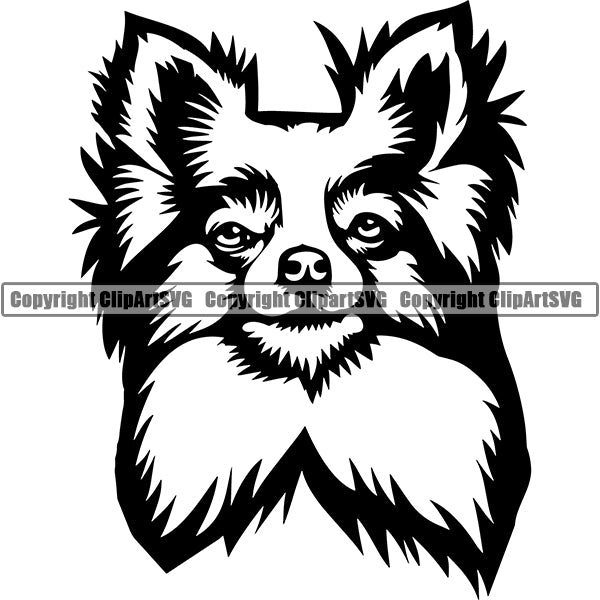 Chihuahua Dog Breed Head Face ClipArt SVG