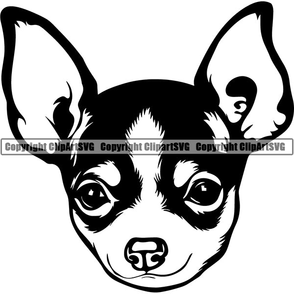 Chihuahua Dog Breed Head Face ClipArt SVG