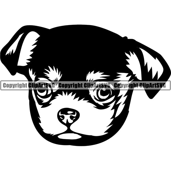 Chihuahua Dog Breed Head Face ClipArt SVG