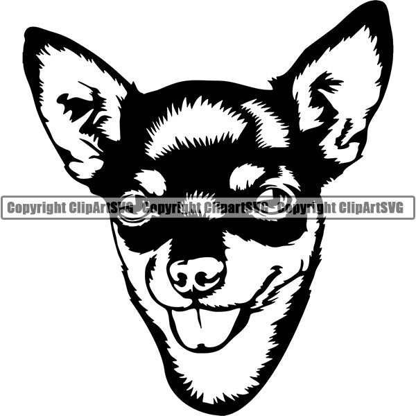 Chihuahua Dog Breed Head Face ClipArt SVG