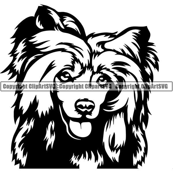 Chinese Crested Dog Breed Head Face ClipArt SVG