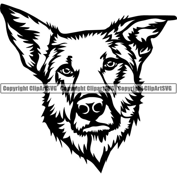 Chinook Dog Breed Head Face ClipArt SVG