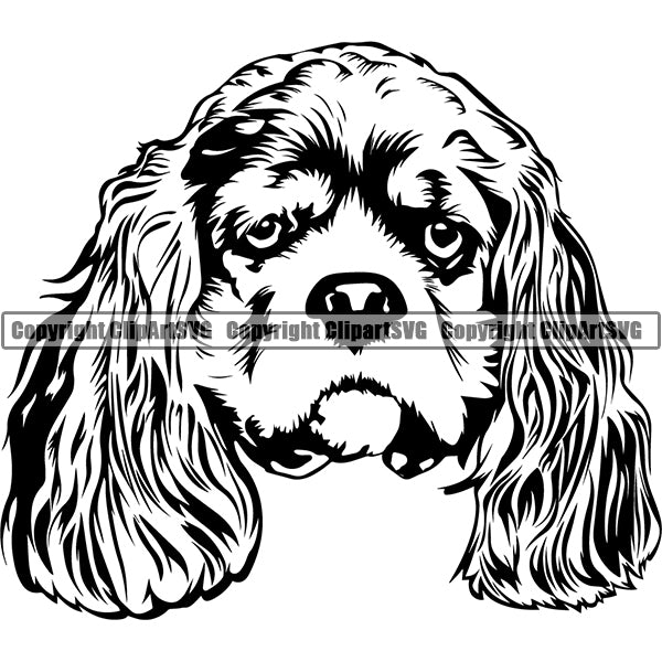Cocker Spaniel Dog Breed Head Face ClipArt SVG