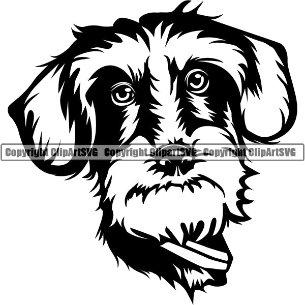 Dachshund Dog Breed Head Face ClipArt SVG