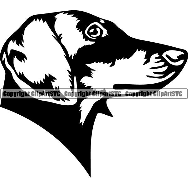 Dachshund Dog Breed Head Face ClipArt SVG