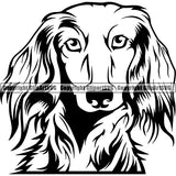 Dachshund Dog Breed Head Face ClipArt SVG