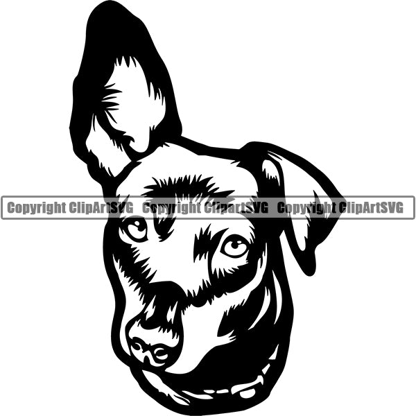Dachshund Dog Breed Head Face ClipArt SVG