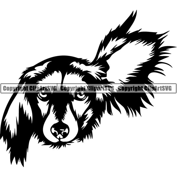 Dachshund Dog Breed Head Face ClipArt SVG
