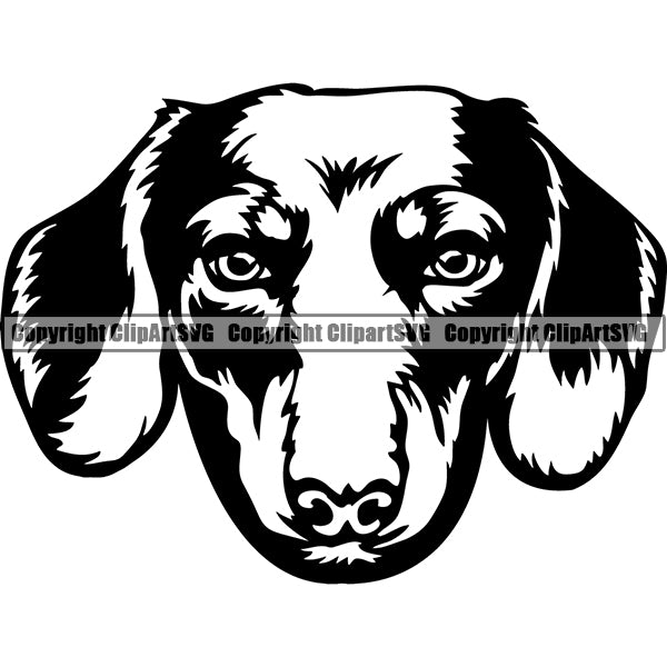 Dachshund Dog Breed Head Face ClipArt SVG