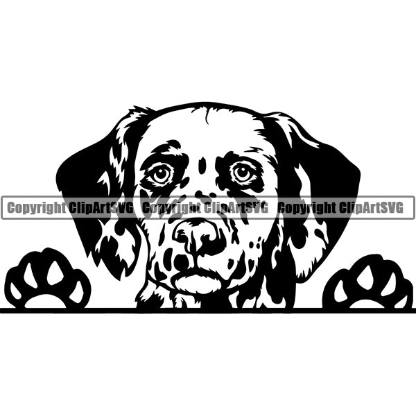 Dalmatian Peeking Dog Breed ClipArt SVG