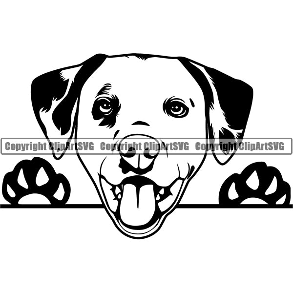 Dalmatian Peeking Dog Breed ClipArt SVG
