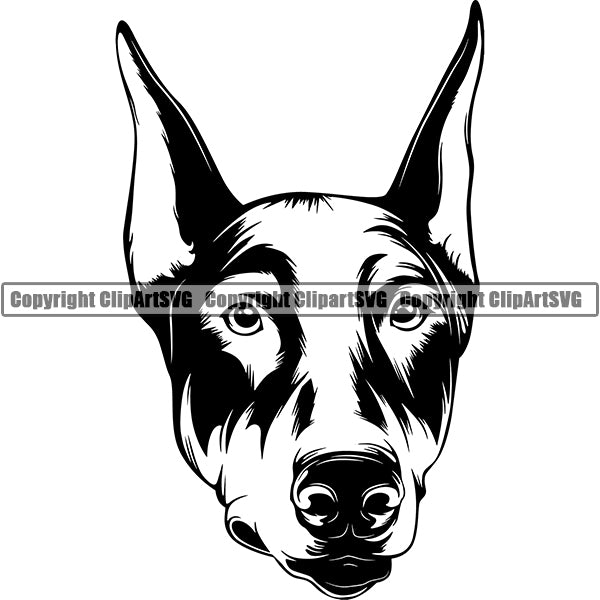 Doberman Dog Breed Head Face ClipArt SVG