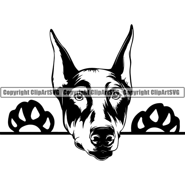 Doberman Peeking Dog Breed ClipArt SVG