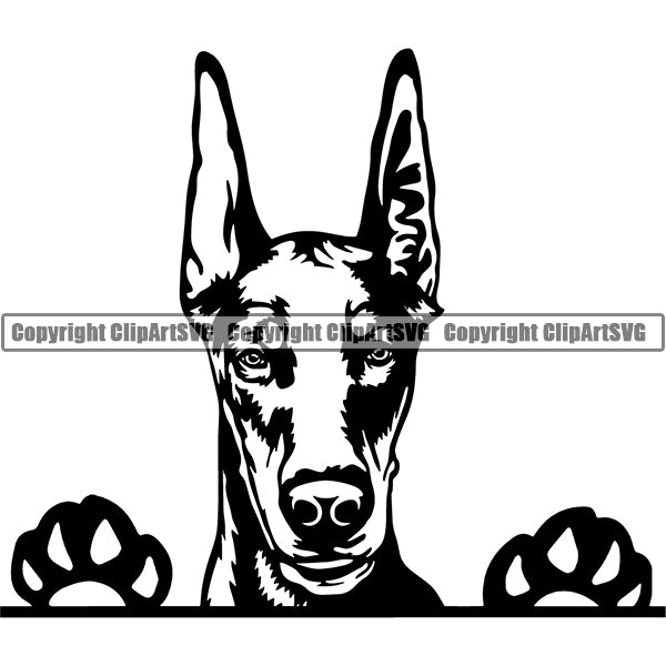 Doberman Peeking Dog Breed ClipArt SVG