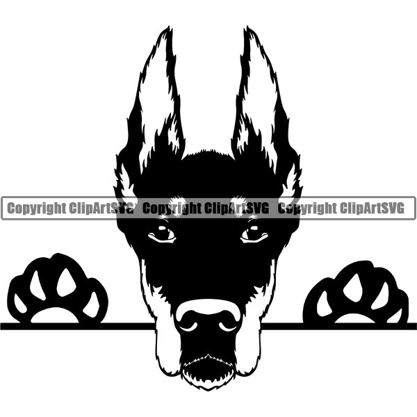 Doberman Peeking Dog Breed ClipArt SVG