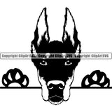 Doberman Peeking Dog Breed ClipArt SVG