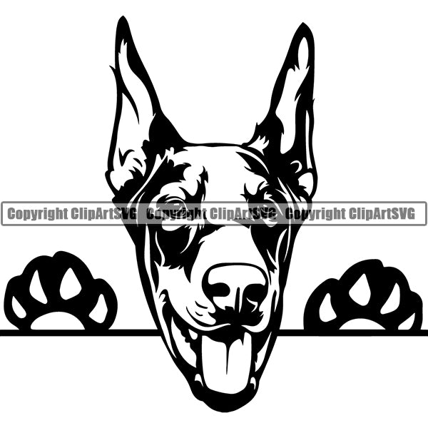 Doberman Peeking Dog Breed ClipArt SVG