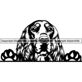 English Setter Peeking Dog Breed ClipArt SVG